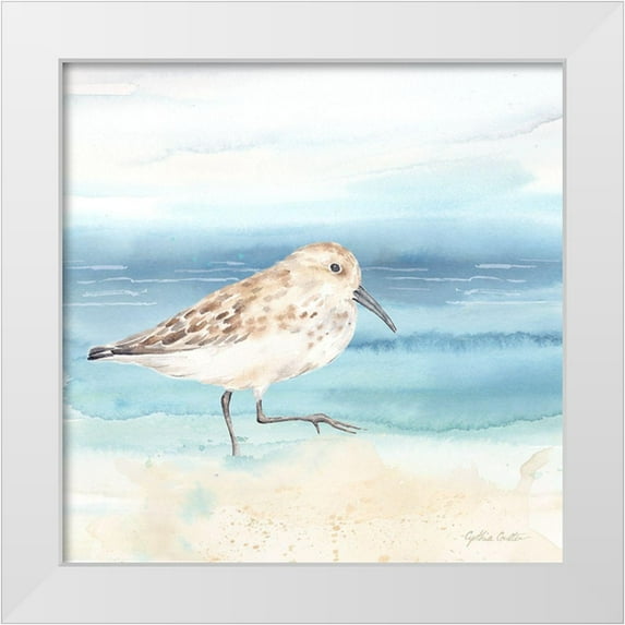Coulter, Cynthia 15x15 White Modern Wood Framed Museum Art Print Titled - By the Seashore XIII