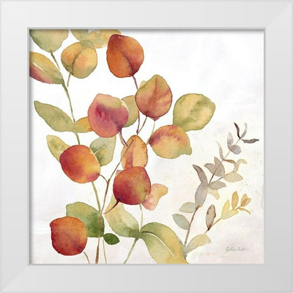Coulter, Cynthia 15x15 White Modern Wood Framed Museum Art Print Titled - Eucalyptus Leaves spice II