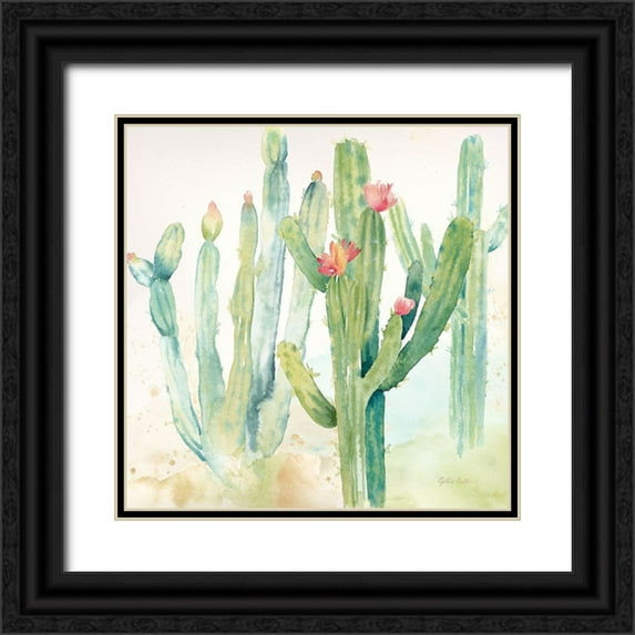 Coulter, Cynthia 20x20 Black Ornate Wood Framed with Double Matting Museum Art Print Titled - Cactus Garden II