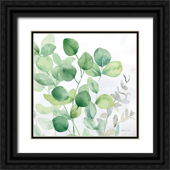 Coulter, Cynthia 20x20 Black Ornate Wood Framed with Double Matting Museum Art Print Titled - Eucalyptus Leaves II