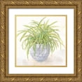 thumbnail image 1 of Coulter, Cynthia 26x26 Gold Ornate Wood Framed with Double Matting Museum Art Print Titled - Houseplant II-Spider Plant, 1 of 4