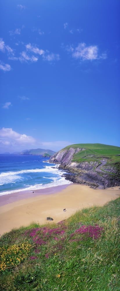 Coumeenoole Beach Dingle Peninsula Co Kerry Ireland Beach On The Irish Coast Canvas Art - The Irish Image Collection Design Pics (19 x 44)