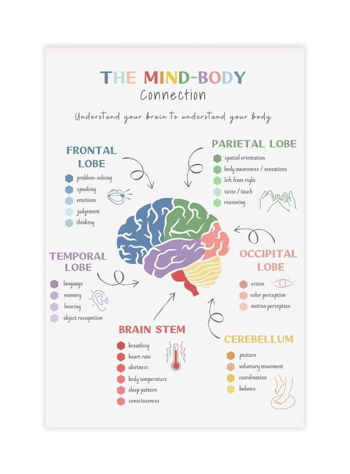 Counseling Office Wall Art, The Mind Body Connection & Brain Diagram ...