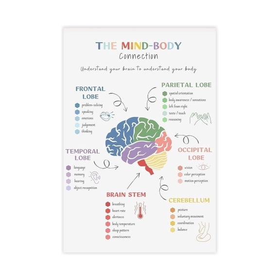 Counseling Office Wall Art, The Mind Body Connection & Brain Diagram Poster for Therapists, Social Workers & Self-Care