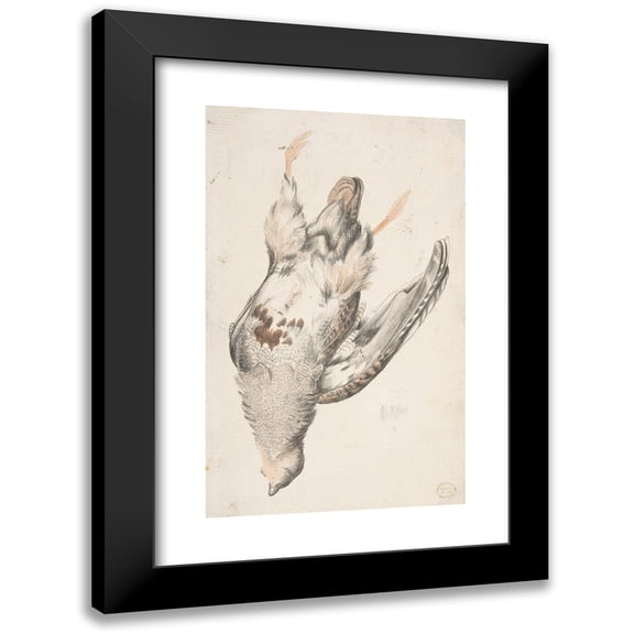 Count Giorgio Durante 10x14 Black Modern Framed Museum Art Print Titled - A Dead Bird Seen from Below (1685-1755)