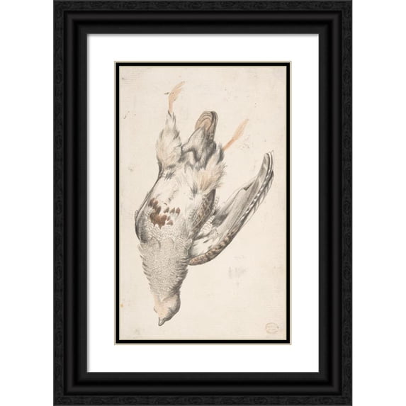 Count Giorgio Durante 16x24 Black Ornate Framed Double Matted Museum Art Print Titled: A Dead Bird Seen from Below (1685-1755)