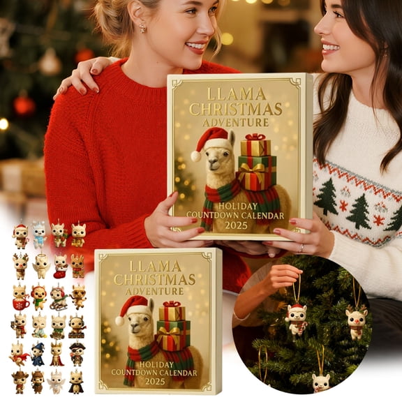 Countdown Calendar 24 Day Advent Surprise With 2D Acrylic Daily For Birthday Celebration All Ages69559