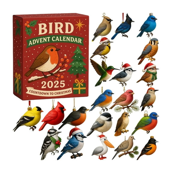 Countdown Calendar - Bird Advent Calendar with 24 Gifts and Surprise Gift for Christmas | 2D Plane with Airplane Box
