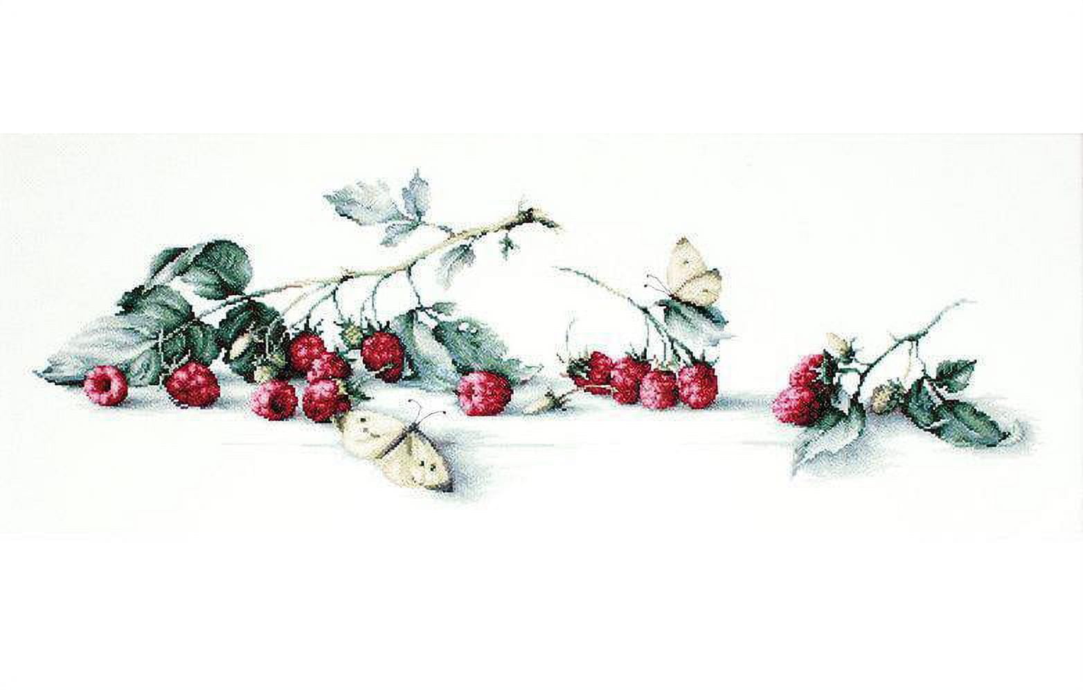 Counted Cross-Stitch Kit Raspberries With Butterfly B2253 Needlework Red Green Easy By Luca-S