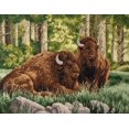 thumbnail image 1 of Counted cross stitch kit Bison M-520C, 1 of 1