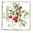 thumbnail image 1 of Counter Art CART11724 Julie's Cherries Single Tumbled Tile Coaster, 1 of 1
