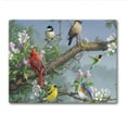 thumbnail image 1 of CounterArt "Beautiful Songbirds" Decorative 3mm Heat Tolerant Tempered Glass Cutting Board 10" x 8", 1 of 9