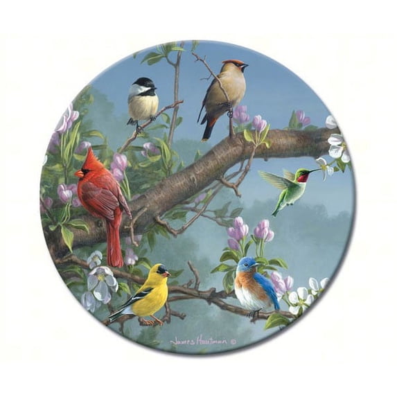 CounterArt Beautiful Songbirds Tempered Glass Lazy Susan Turntable