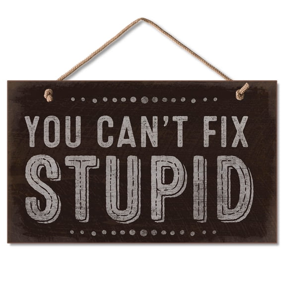 CounterArt "Can't Fix Stupid" Home/Office Hanging Wood Wall Sign