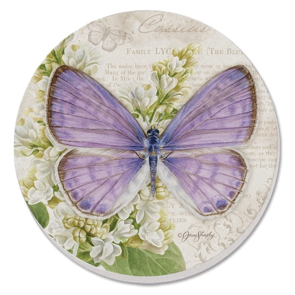 Thirstystone Cassius Blue Butterfly Single Round Stone Coaster Create Your Own Set