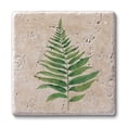 thumbnail image 1 of CounterArt Fern Study Natural Travertine Stone Coaster 4-Pack, 1 of 7