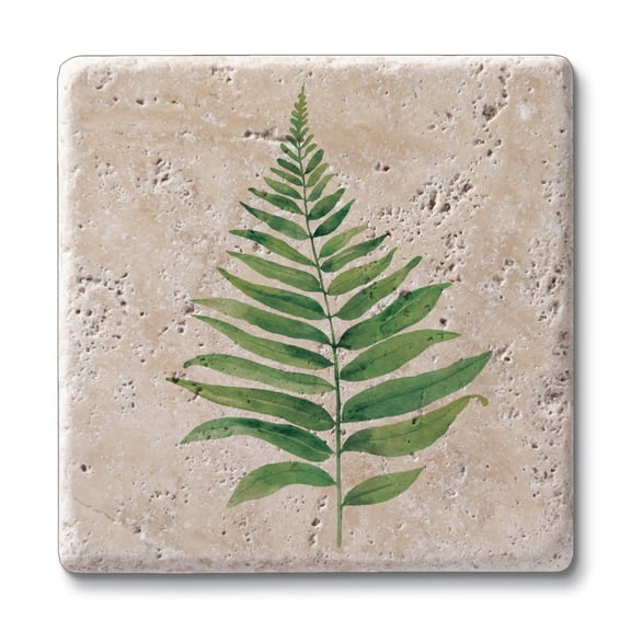 CounterArt Fern Study Natural Travertine Stone Coaster 4-Pack