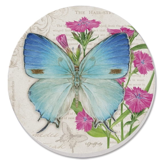 Thirstystone Hairstreak Butterfly Single Round Stone Coaster Create Your Own Set