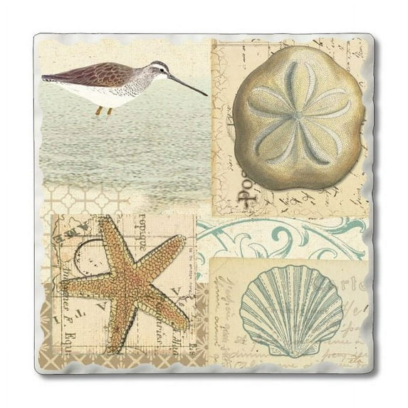 CounterArt "Shell Collage" Single Image Absorbent Stone Tumbled Tile Coaster 4 Pack