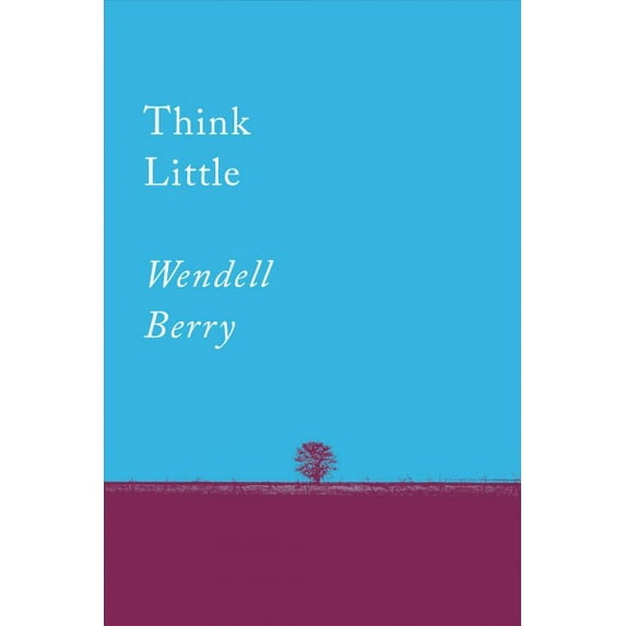 Counterpoints: Think Little : Essays (Series #1) (Paperback)