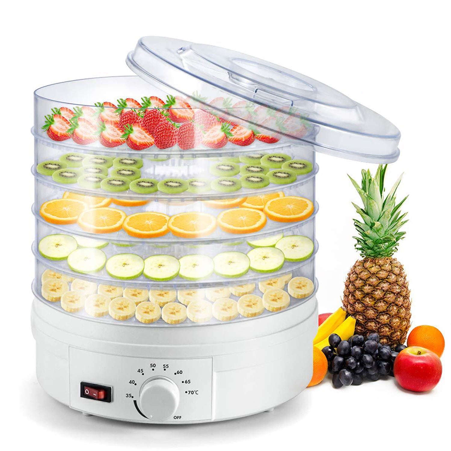 Countertop Portable Electric Food Fruit Dehydrator Machine with Adjustable Thermostat BPA Free 5 Tray