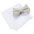 thumbnail image 1 of Countess Mara Mens Lyons Floral Neck Tie Set, Beige, One Size, 1 of 1