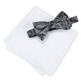 thumbnail image 1 of Countess Mara Mens Pasiley Neck Tie Set, Black, One Size, 1 of 1