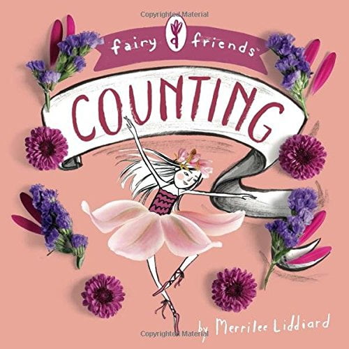 Pre-Owned Fairy Friends: A Counting Primer: A Counting Primer (Board book) 1423645340 9781423645344