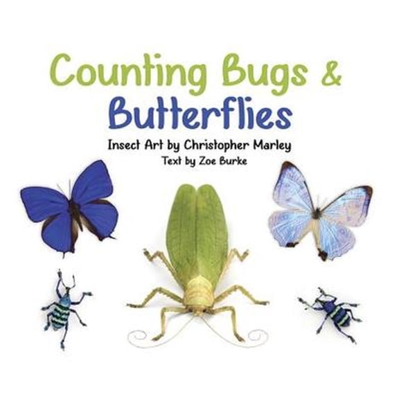 Pre-Owned Counting Bugs and Butterflies: Insect Art by Christopher Marley (Board book) 0764981293 9780764981296