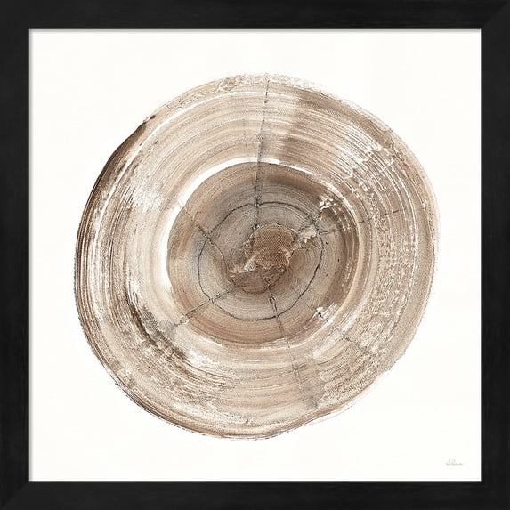 Counting the Years III by Albena Hristova, Framed Wall Art, 13.25W x 13.25H
