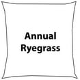 thumbnail image 1 of Country Boy Seed  5 lbs Annual Ryegrass Seed, 1 of 1