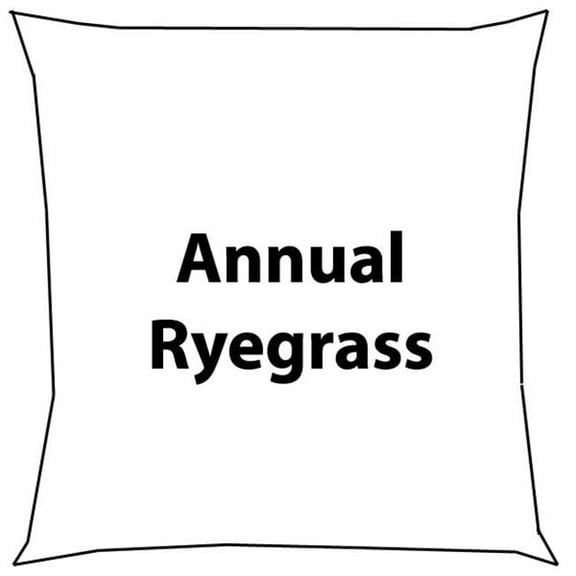 Country Boy Seed  5 lbs Annual Ryegrass Seed