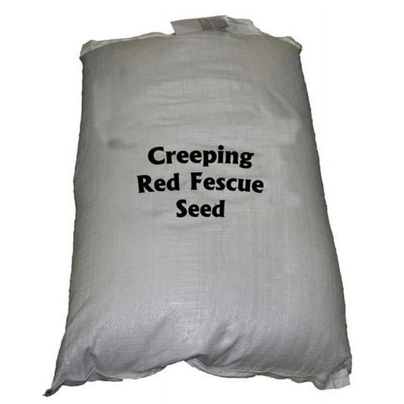 Country Boy Seed 05LBCRPFES 5 lbs Creeping Red Fescue Seed
