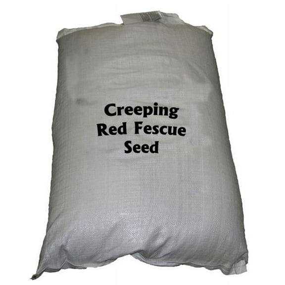 Country Boy Seed 05LBCRPFES 5 lbs Creeping Red Fescue Seed