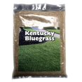 thumbnail image 1 of Country Boy Seed 50LBKYBLGRS 50 lbs Kentucky Bluegrass Seed - Pack of 50, 1 of 1