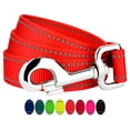 thumbnail image 1 of Country Brook Design - 1 inch Blaze Orange Reflective Nylon Dog Leash - 6 Foot, 1 of 7