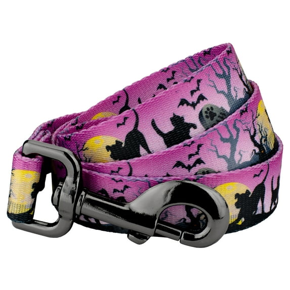 Country Brook Design® 1 inch Graveyard Gunmetal Dog Leash - 4 Foot