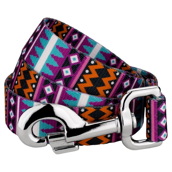 Country Brook Petz® 1 Inch Santa Fe Everyday Dog Leash, 4 Foot