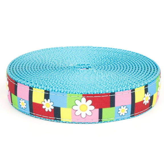 Country Brook Design® 1 inch Spring Daisies on Ice Blue Nylon Webbing, 20 Yards