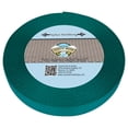 thumbnail image 1 of Country Brook Design® 1 inch Teal Super Heavy Nylon Webbing, 20 Yards, 1 of 3