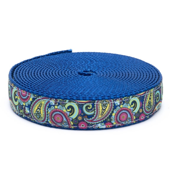 Country Brook Design® 3/4 inch Bright Paisley Ribbon on Royal Blue Nylon Webbing, 10 Yards
