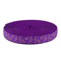 Country Brook Design® 3/4 inch Purple Paisley on Purple Nylon Webbing, 10 Yards