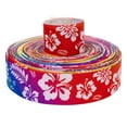 thumbnail image 1 of Country Brook Design® 5/8 Inch Hawaiian Rainbow Grosgrain Ribbon, 5 Yards, 1 of 2