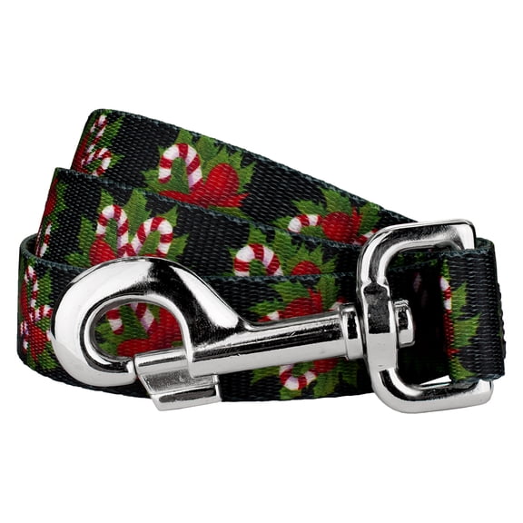 Country Brook Design® 5/8 inch Black Candy Cane Dog Leash, 4 Foot