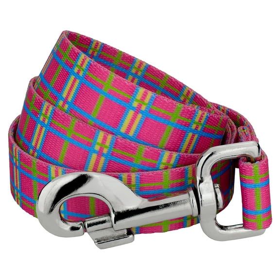 Country Brook Design - 5/8 inch Bubblegum Pink Plaid Dog Leash - 6 feet