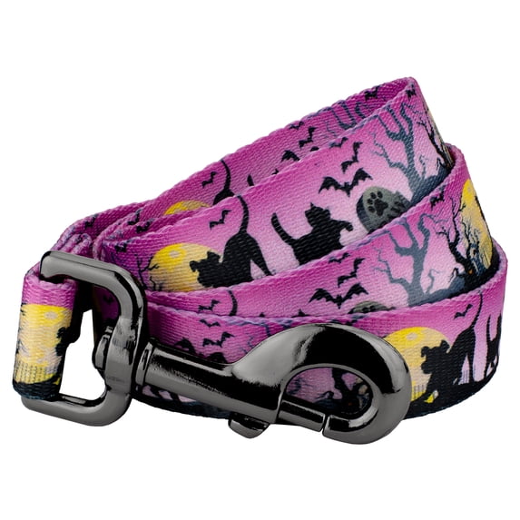 Country Brook Design® 5/8 inch Graveyard Gunmetal Dog Leash - 4 Foot