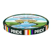 Country Brook Design  5/8 inch Pride Polyester Webbing, 5 Yards
