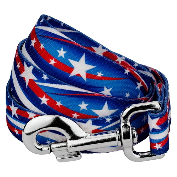 Country Brook Petz® 5/8 Inch Star Spangled Everyday Dog Leash, 6 Foot