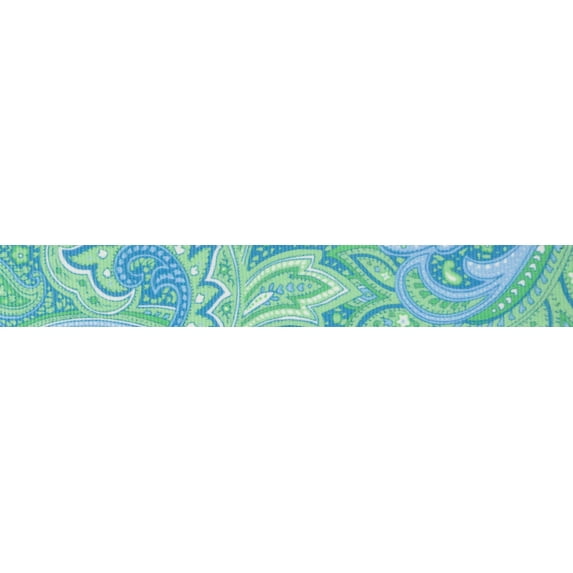 Country Brook Design® 7/8 inch Green Paisley Grosgrain Ribbon, 10 Yards