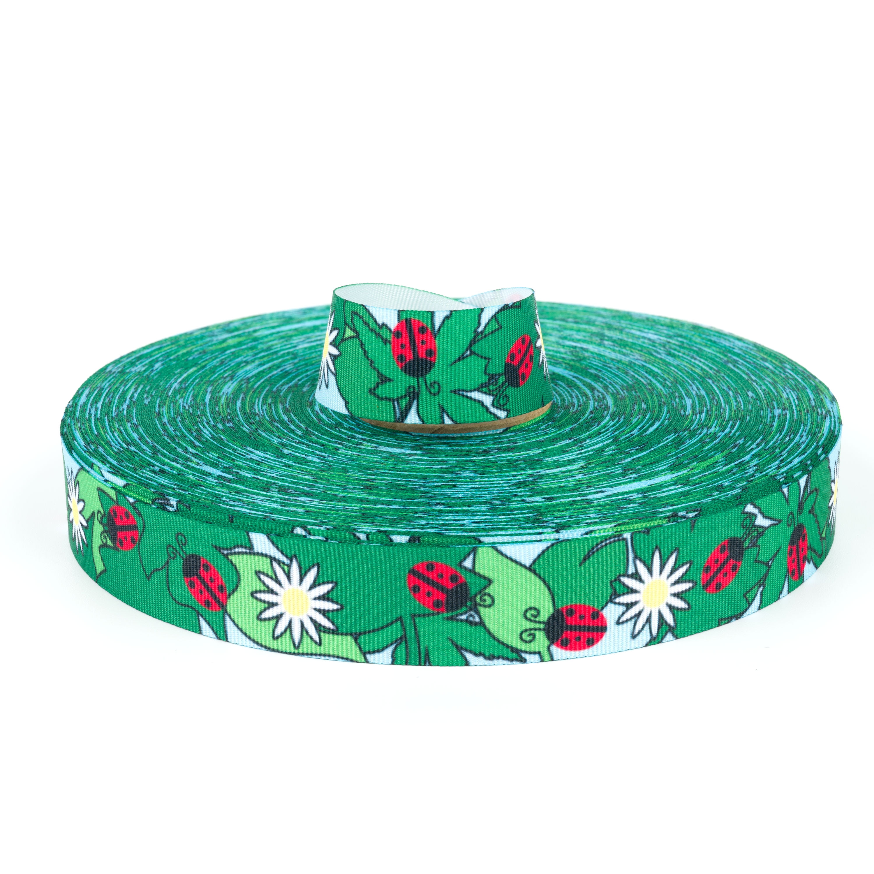 Country Brook Design® 7/8 inch Ladybugs Picnic Grosgrain Ribbon, 10 ...